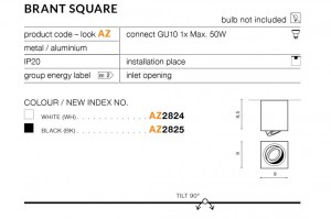 brant-square (2)